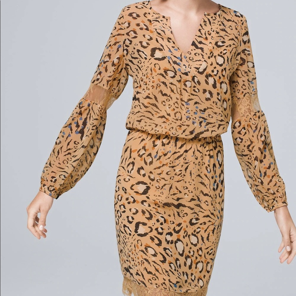 White House Black Market Leopard Lace Dress, Size 0, animal print